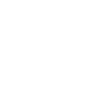 THE MISSION